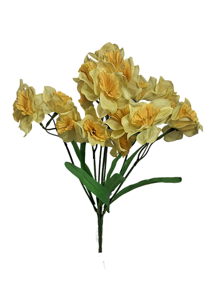 Bukiet żonkili, C542