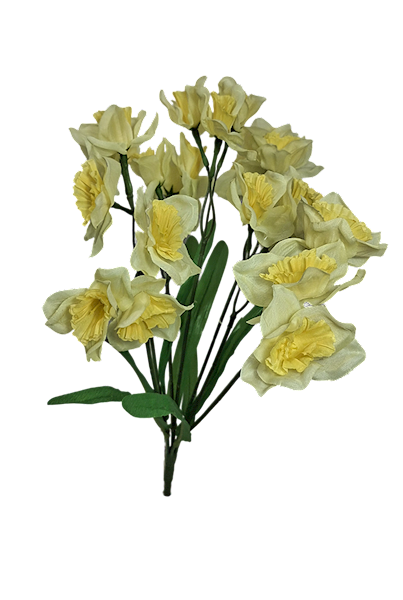 Bukiet żonkili, C542