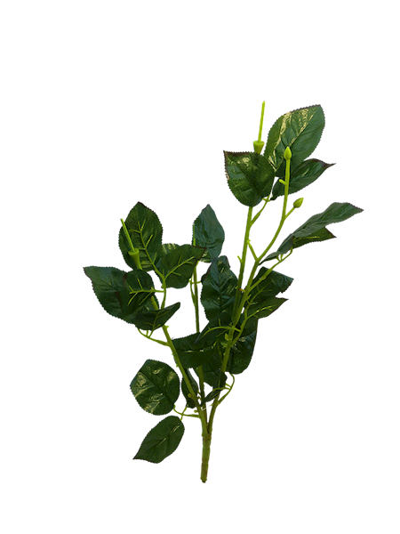 Korpus róży x3, WTL010S