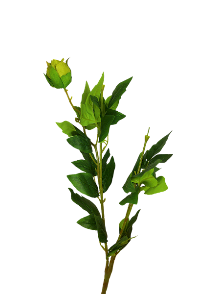 Stelaż peonii, WL020