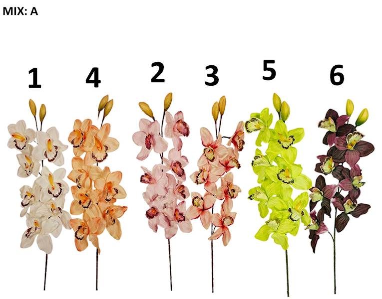 Storczyk gałązka MIX, W234886