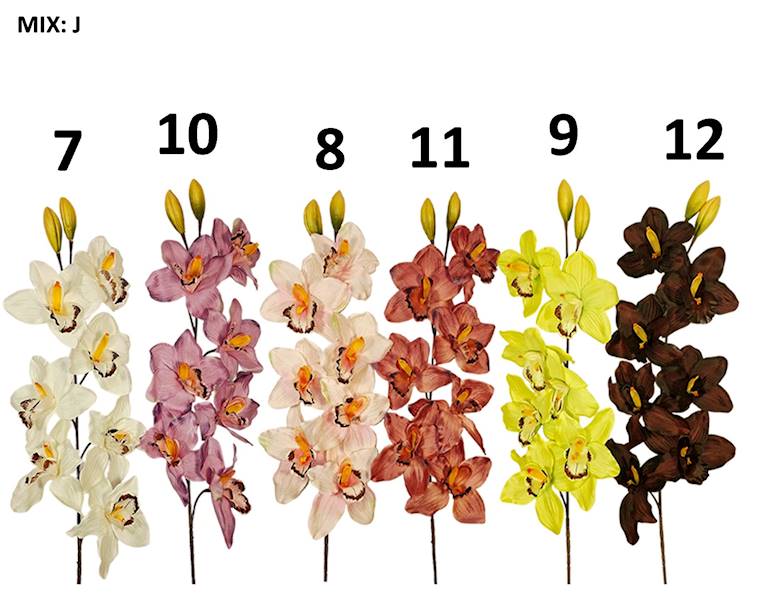 Storczyk gałązka MIX, W234886