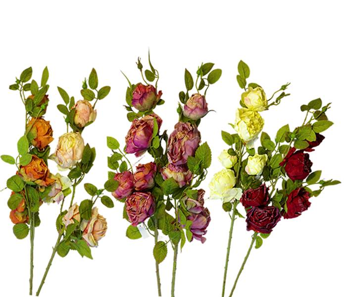 Gałązka róży x5, W110