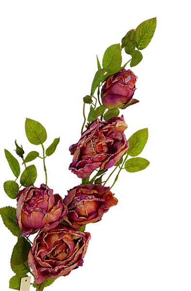 Gałązka róży x5, W110