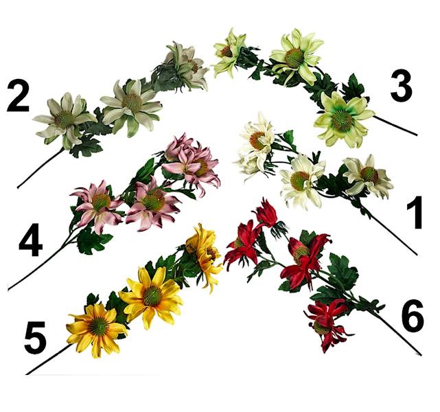 Jeżówka gałązka, W235230