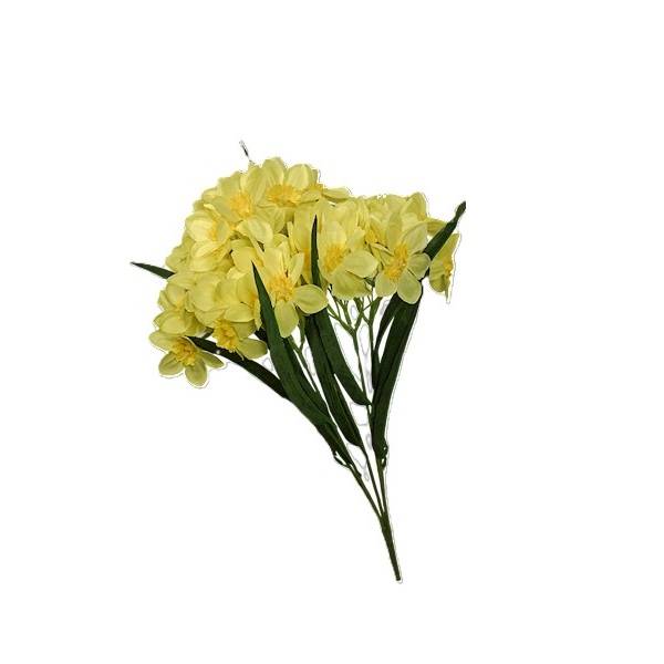 Bukiet żonkili x5, C559