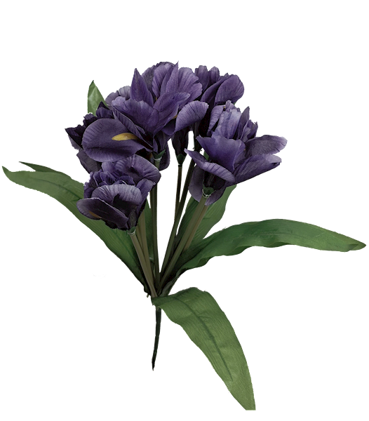 Bukiet irys x9, C545