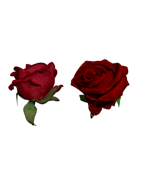 Róża welwetowa, FW031