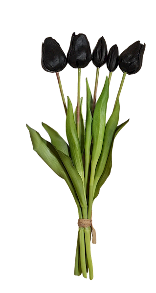 Tulipan guma x5, C323