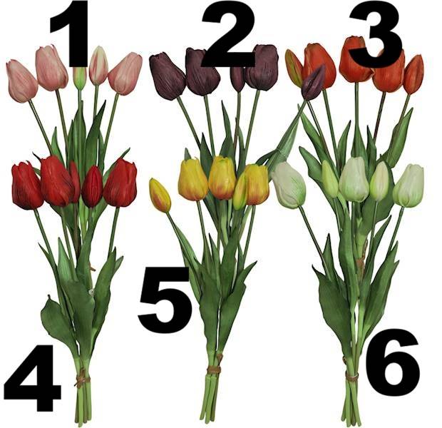 Tulipan guma x5, C323