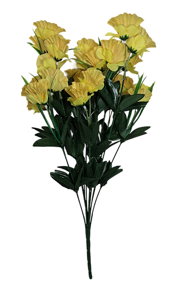 Bukiet żonkil x12, C521