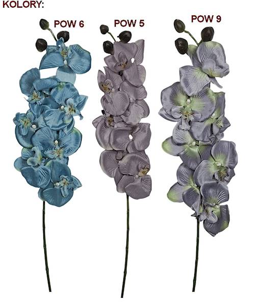 Storczyk gałązka, K093