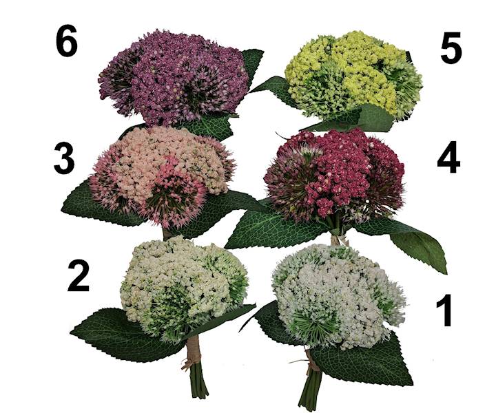 Czosnek -  bukiet, K526