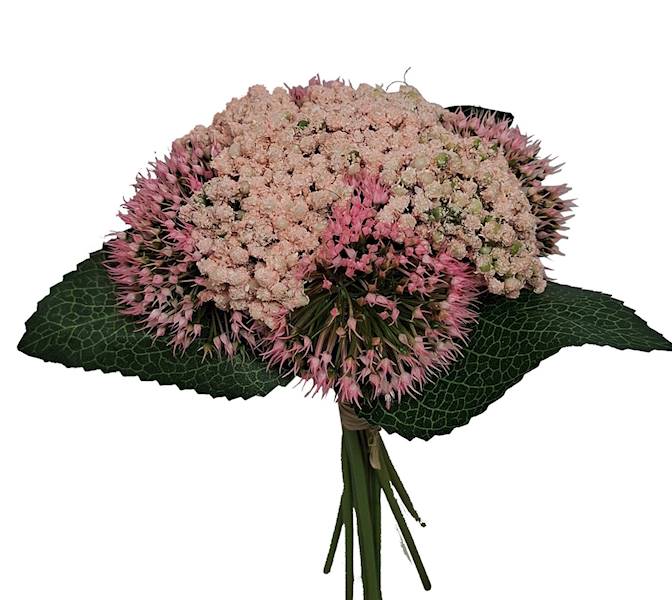 Czosnek -  bukiet, K526