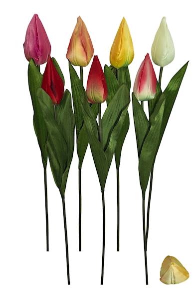 Tulipan ołówek, W233931