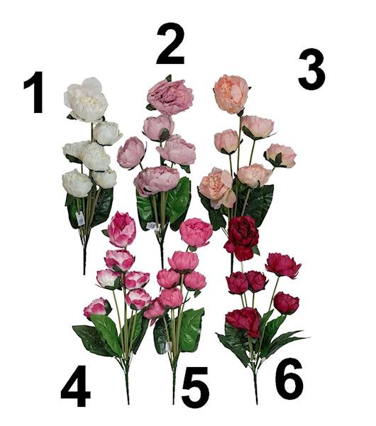 Bukiet peonia x6, C479