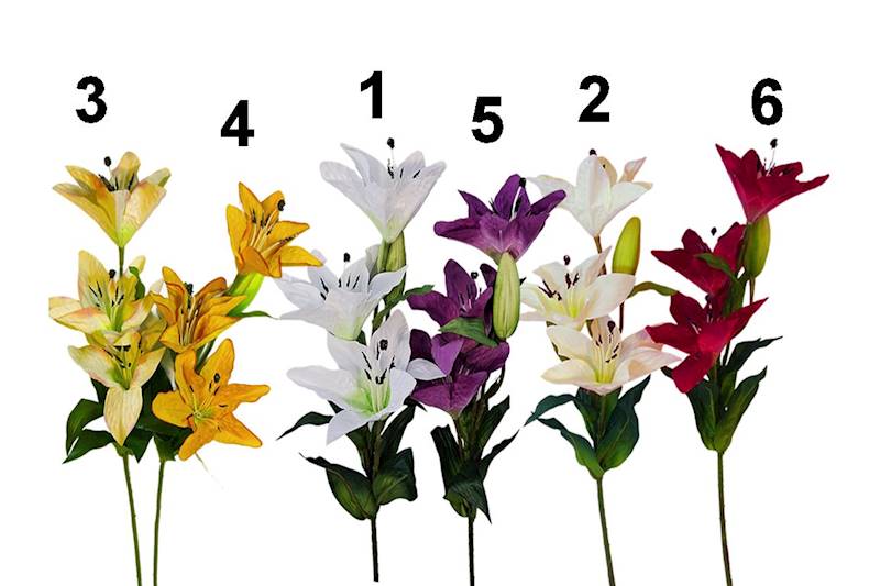 Gałązka lilii, W235168