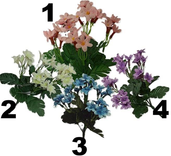 Niezapominajka x5, C541