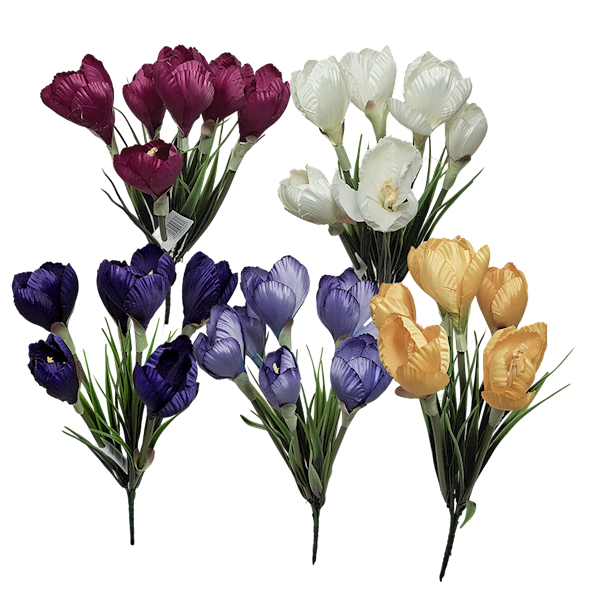 Bukiet krokus x6, C660