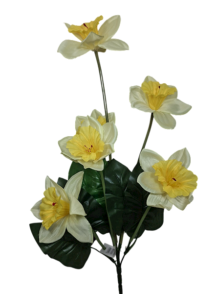 Bukiet żonkili x6, C536