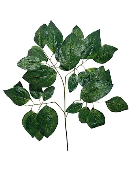 Liść orzech x4, C321