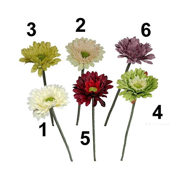 Gerbera z łodygą, W235242