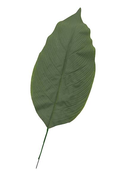 Liść sztuczny, 720