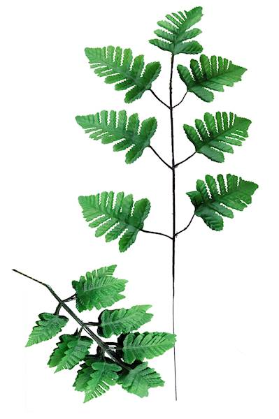 Liść paproci x7, G101