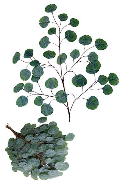 Liść eukaliptus x5 GUMA, C675