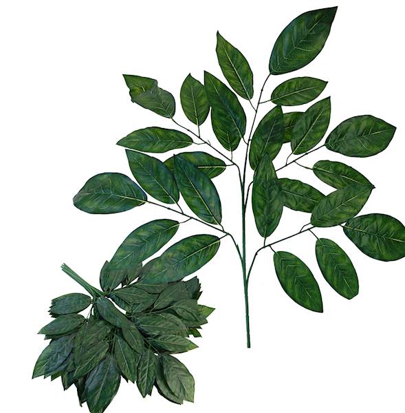 Liść piatka, W501