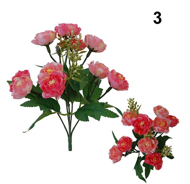 Bukie róż x5, QB36