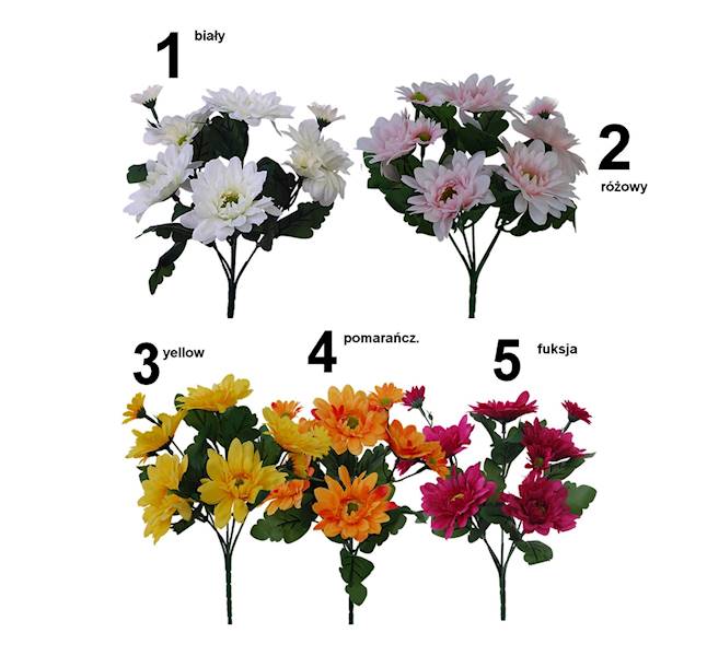 Bukiet koreanka x5, QB40
