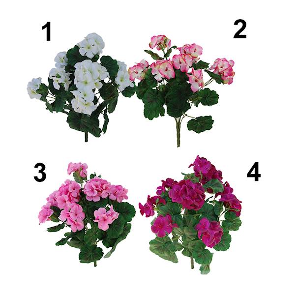 Bukiet pelargonia x9, QB39