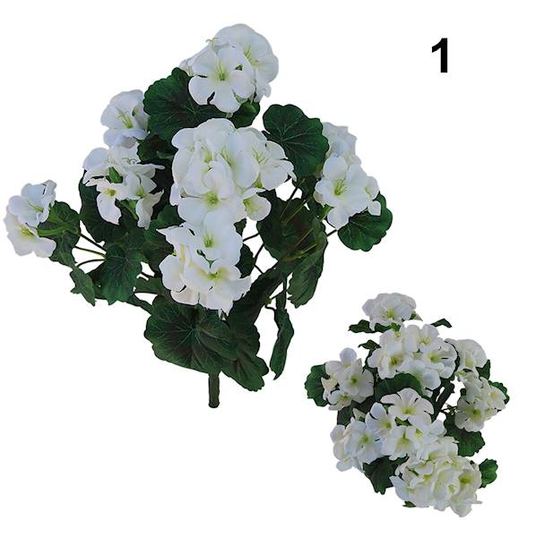 Bukiet pelargonia x9, QB39