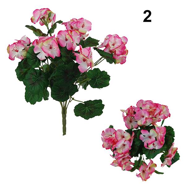 Bukiet pelargonia x9, QB39