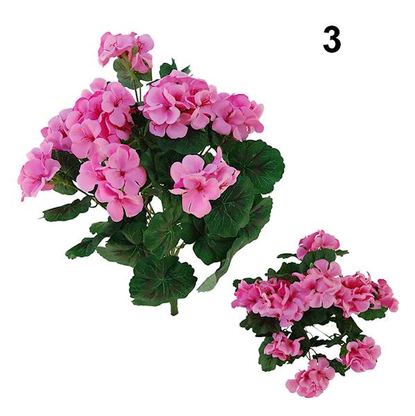 Bukiet pelargonia x9, QB39