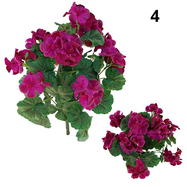 Bukiet pelargonia x9, QB39