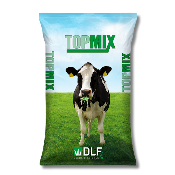 TopMix Mieszanka Kujawska 10kg