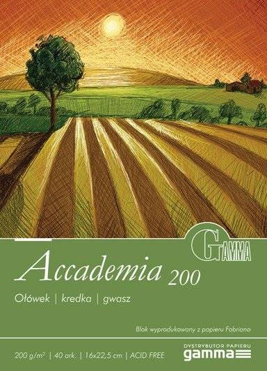 BLOK RYSUNKOWY ACCADEMIA 200g 32,5x45 10ark