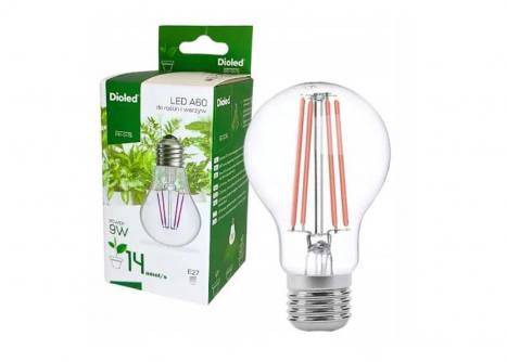 żarówka LED DIOLED DO ROSLIN I WARZYW E27 A60 9W