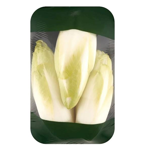 Cykoria Tacka 500g kl.1 Polska