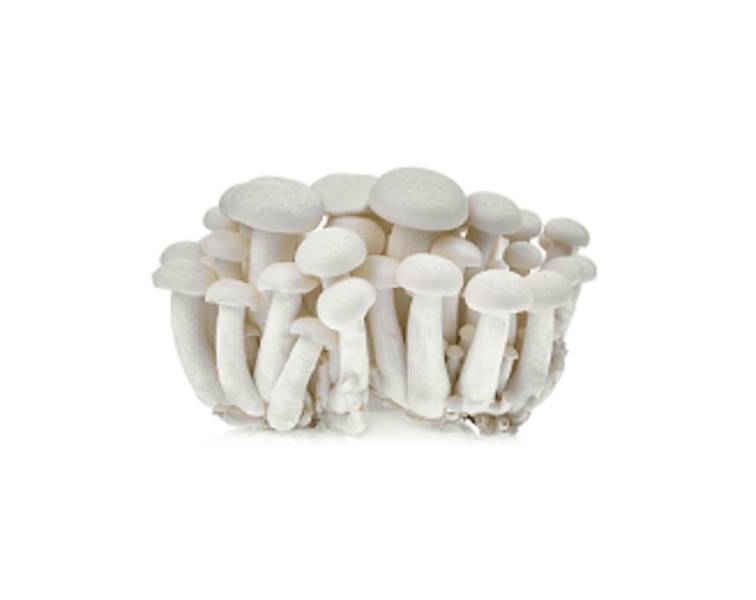 Grzyby Shimeji Białe/ Brązowe  150g, kl.1 Chiny