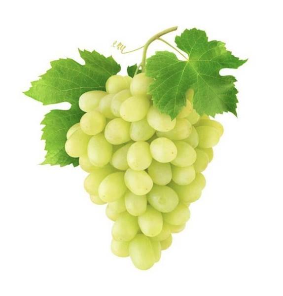 Winogrono Jasne Bezpestkowe Flaming King Autumn Crisp kl.1 Włochy