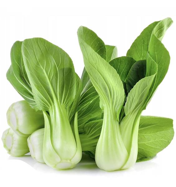 Pak Choi Shanghai kl.1 Niemcy