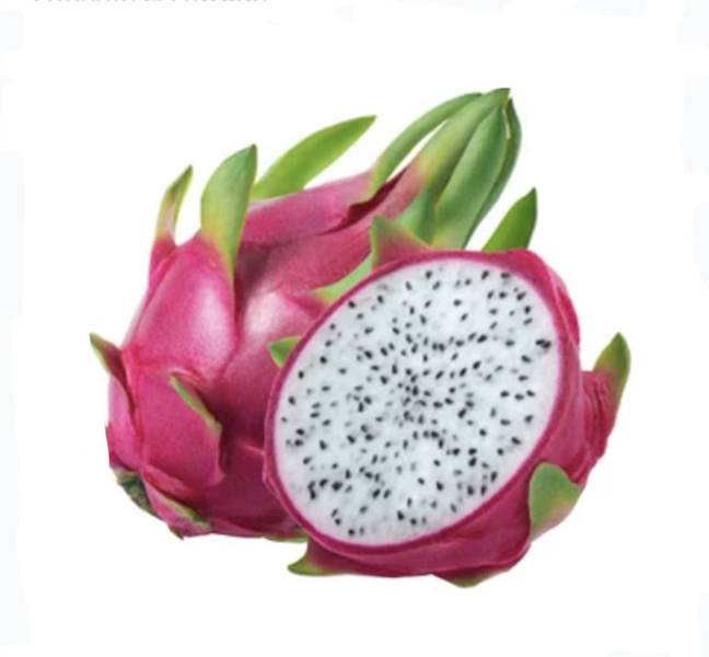 Pitahaya Czerwona kal.9 kl.1 Ekwador