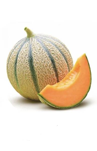 Melon Cantaloupe kl.1 Hiszpania 