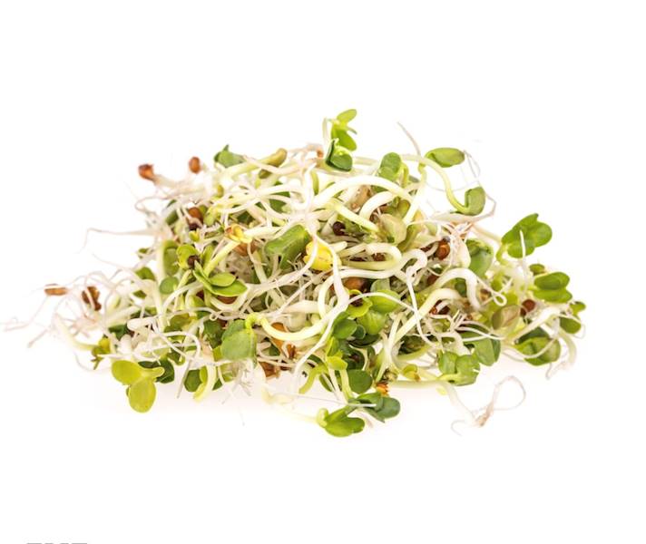 Kiełki Lucerny op.250g kl.1 Polska 