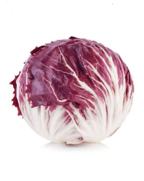 Sałata Radicchio kl.1 Polska