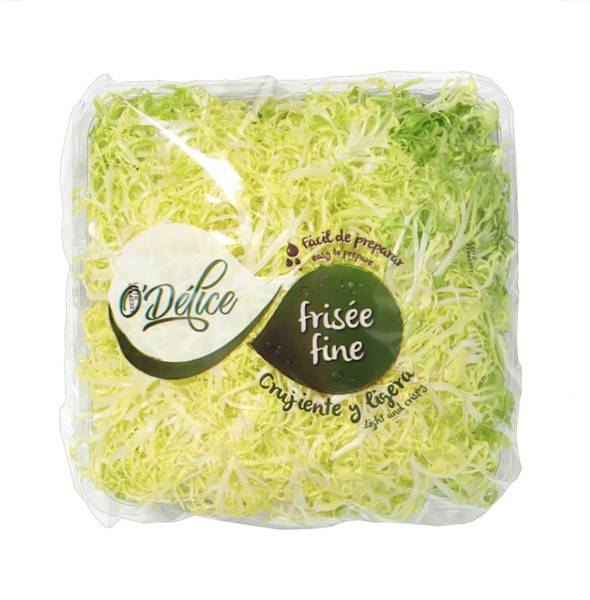Sałata Freese Lucas kl.1 Hiszpania 