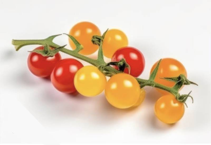 Pomidor Cherry Kolor Gałązka kl.1 Hiszpania